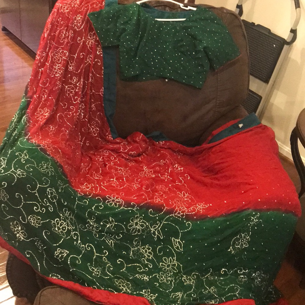 Indian pakistani wedding party wear sari saree